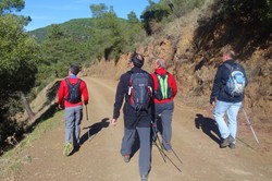 Todos de vuelta con las mochilas cargados de bellotas