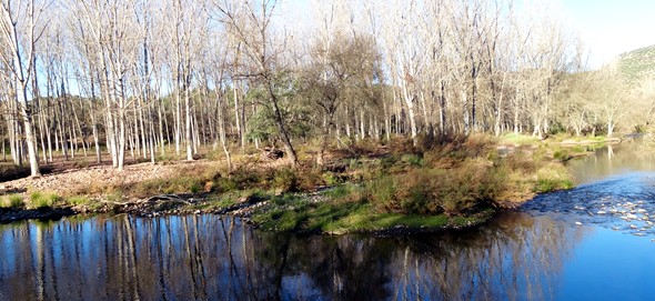 Paisaje otoal en los alrededores del Jndula