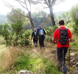 Andando todos por detrs en el camino de vuelta 