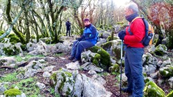 Encantados en el bosque mgico