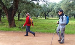 Bob y Sendrix por el encinar