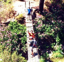 Cruzando por ltima vez el puente colgante