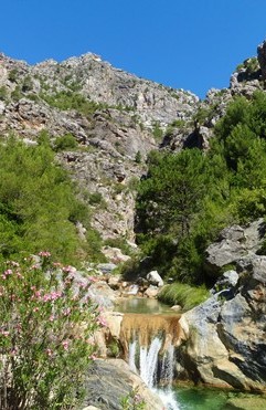 Vista de una cascadita del ro Verde