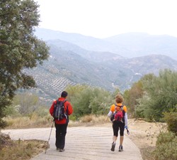 Bajando el camino de cemento hacia el estercolero