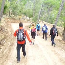 Bajando por la pista