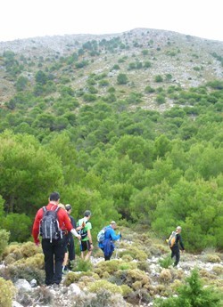 Penetrando en la hondonada del bosque