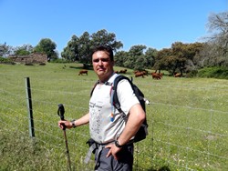 El tito con los toros