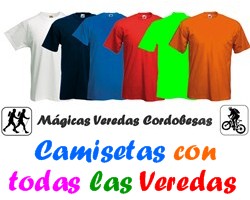 Camisetas