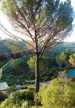 Eco-parque de aventuras en los Arenales