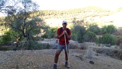 Romerillo en la vereda de Linares