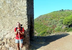 Romerillo en la Torre de las Siete esquina