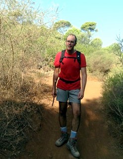 Romerillo en la vereda del Mirador de las Nias