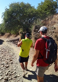 Los animales descendiendo por la llanura