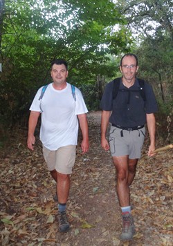 Los letrados por el castaar de Valdejetas