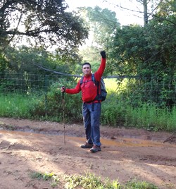 El tito rojo