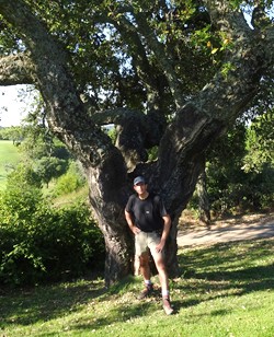 Romerillo en el gran árbol del campo de golf los Villares