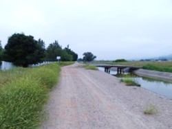 Canal y puente sobre el Guadalmellato