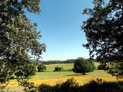 Bonitas vistas en verano