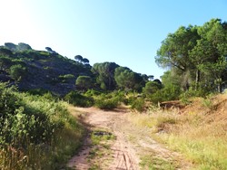 Entrada a la Pasada del Pino