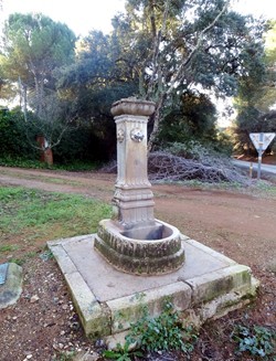 Se construyeron fuentes tan hermosas como la de Trevi para dar de beber al sediento Romerillo