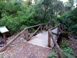 Puente en el sendero de la Traicin