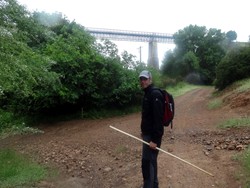 Romerillo en el Puente de Hierro