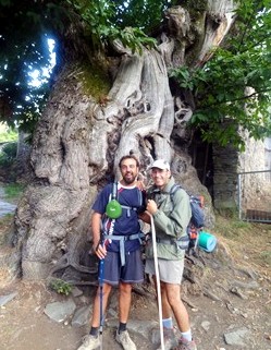 Sergio y Romerillo en el castao milenario