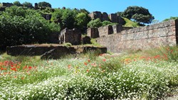 Las ruinas de las minas de cobre