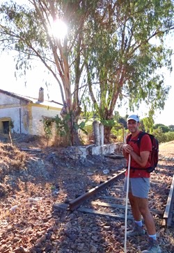 Romerillo en la casita del tren