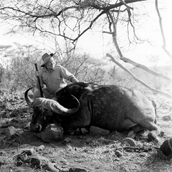 Hemingway cazador de bfalos